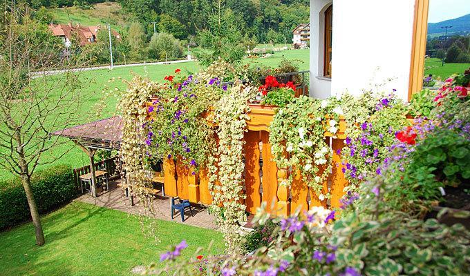 Pension Haus Rose Oberharmersbach Ruang foto