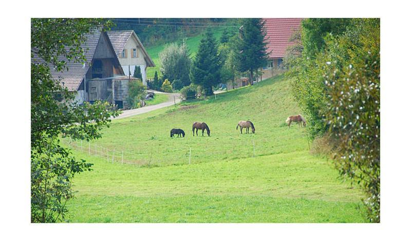 Pension Haus Rose Oberharmersbach Bagian luar foto