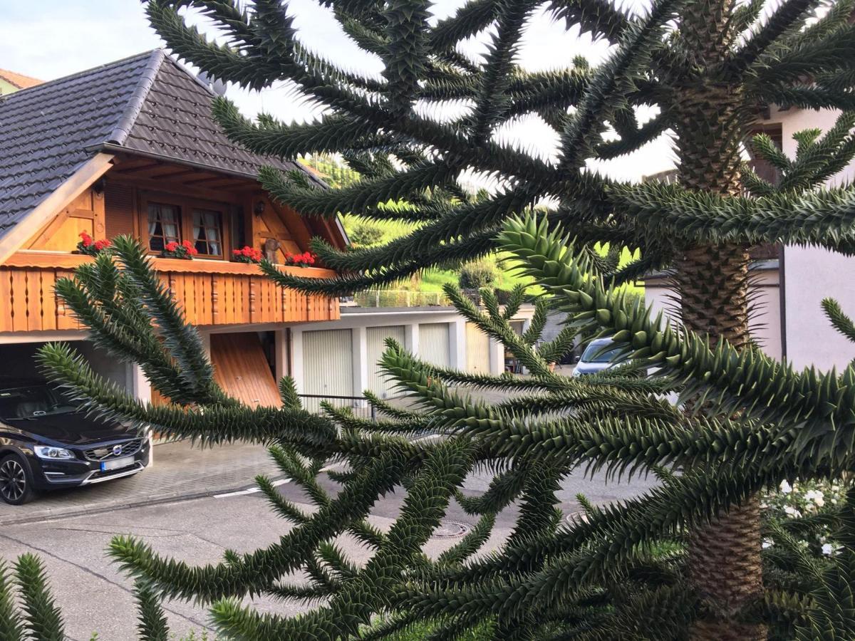 Pension Haus Rose Oberharmersbach Bagian luar foto